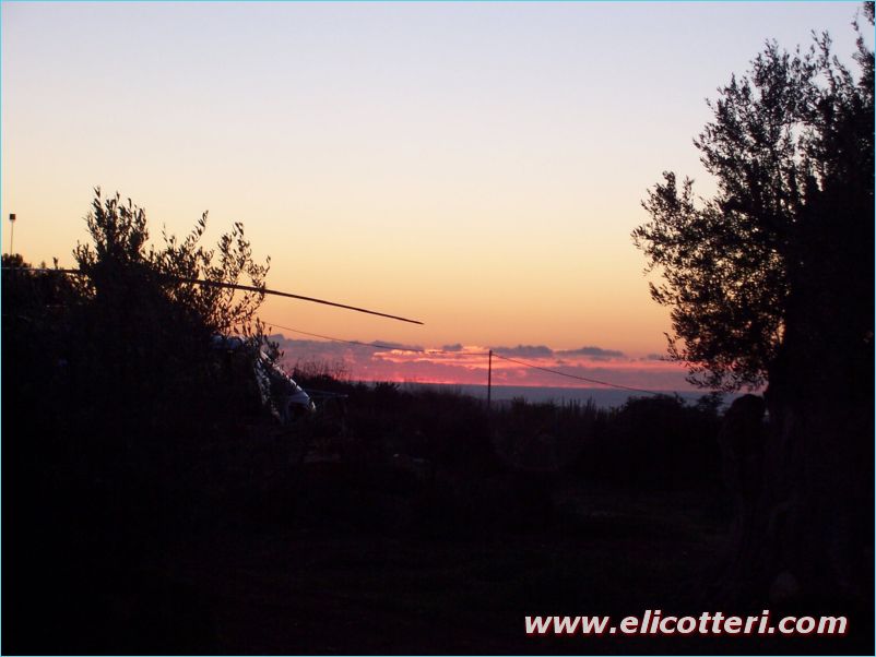 elifoto (20)
